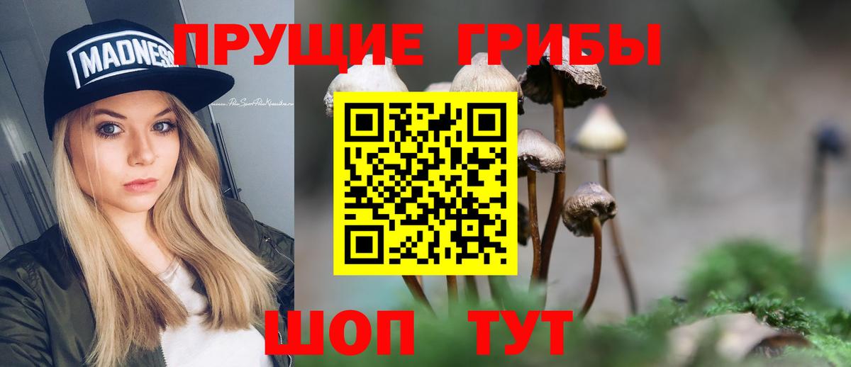 Нефтекумск  Псилоцибиновые грибы прущие грибы  хочу   Галлюциногенные грибы Psilocybine cubensis  Вход с VPN 