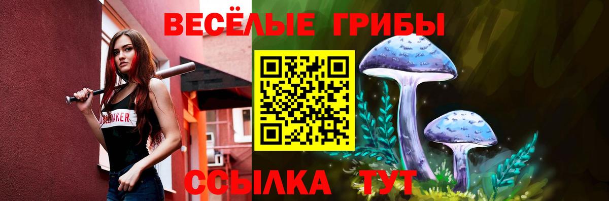 Галлюциногенные грибы Psilocybe Нефтекумск